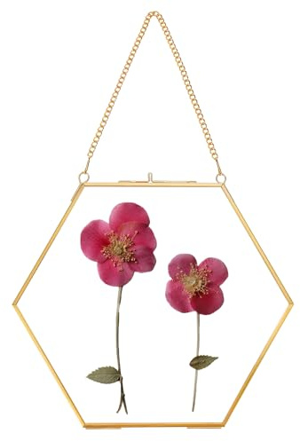 REDHUGO Glas gepresster Blumenrahmen handgefertigt, Doppelglasrahmen für gepresste Blumen Messing schwimmende Bilderrahmen Wandbehang rundes Bild Rahmen für Trockenblumen Home Wall Decor Hexagon Gold