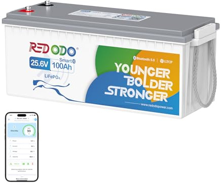 Redodo 24V 100Ah Batterie Lithium avec Bluetooth 2560Wh Batterie LiFePO4 avec Protection Basse Température BMS 100A pour Camping-Cars/Bateau/Hors Réseau/Stockage Energie Domestique
