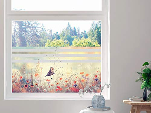 GRAZDesign Sichtschutzfolie Blumen, Fensterfolie für Küche, Wohnzimmer, Blickdichte Folie / 110x57cm