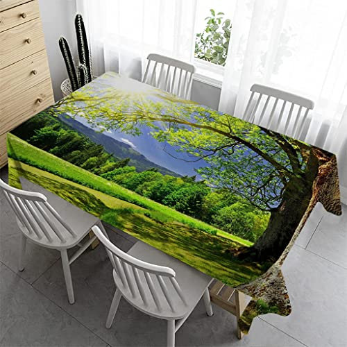 Syhi Qlty Gartentischdecke Eckig 140x140 cm - Abwaschbare Tischdecke Biertisch Abwaschbar Tischdecke Gartentisch Wetterfest für Geburtstag Party Garten Draußen - Grüne Pflanzen 2