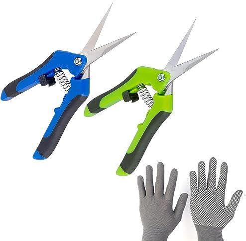 Thgtao Gartenschere, 2 Stücke Blumenschere, Edelstahl Ernteschere, Leseschere Astschere, 2 Gartenschere + 1 Paar Gartenhandschuhe Set, für Garten Obst & Gemüse, usw (Grün + Blau)