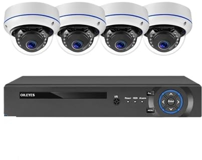 Outdoor Metall Dome 8MP 4K POE CCTV Sicherheit Kamera System H.265 NVR Kit 4CH Home IP Kameras Video Überwachung Bewegungserkennung(None,10CH NVR 4 Camera)