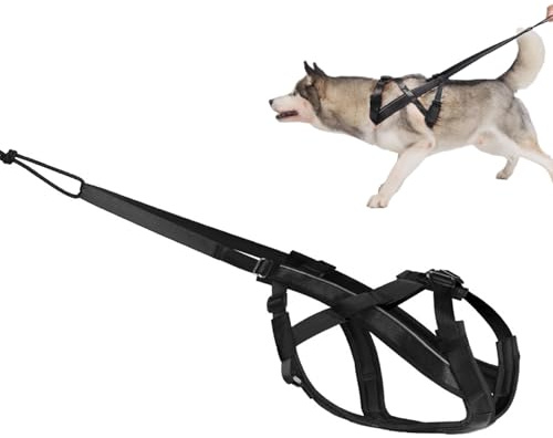 Hunde-Zuggeschirr, verstellbares Hundeschlittengeschirr für Verhaltenstraining, Gewichtziehen, Canicross, Ski-Jöring, Schwarz, Schlitten –