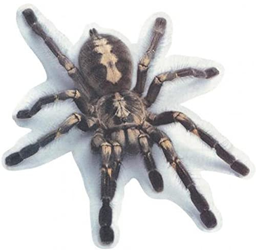 Ruluti Spinne 3D-Auto-Aufkleber Tiermuster-Fahrzeug Fenster Spiegel Auto-abziehbild-dekor Wasserdicht Stickiness