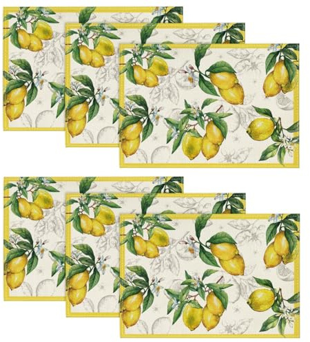 Artoid Mode Zitrone Sommer 6er Set Platzsets, 30x45cm Saisonnal Frühling Bankett Tischsets Waschbar Platzdeckchen Küche Party Deko