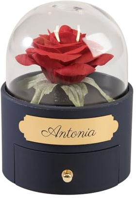 Personalisierte Ewige Rose mit Gravur | Unendliche Rose Geschenkbox mit Halskette | Personalisierte Geschenke Frauen | Jahrestag Geschenk für sie | Ich Liebe Dich Kette | Geburtstagsgeschenk | Rund