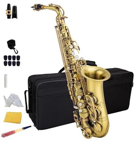 Es-Altsaxophon professionelles Instrument geeignet für Erwachsene Saxophon für Anfänger