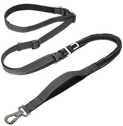 HGZLQKD Reflective Leash Convertible Dog Leash Hands Shoulder Leash Bungee Shock Absorbing Adjustable Training with Metal Carabiner Suitable for walking, Black, Width 2cm, Length 145-240cm