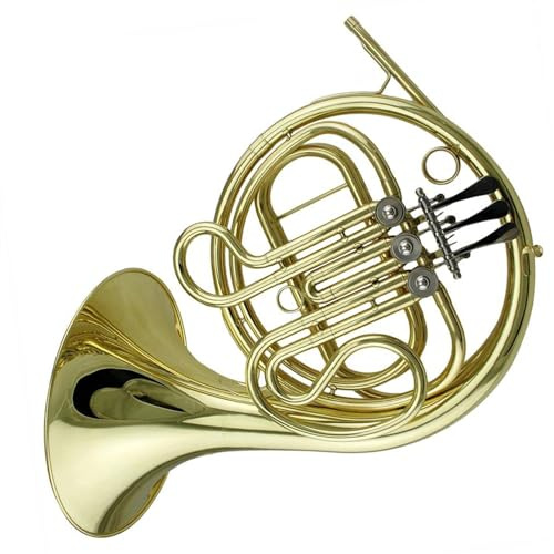 Korpus Aus Goldlackiertem Messing Und Stimmpfeife Aus Gelbem Messing. Waldhorn Mit 3 Klappen Und Koffer Waldhorn-Set