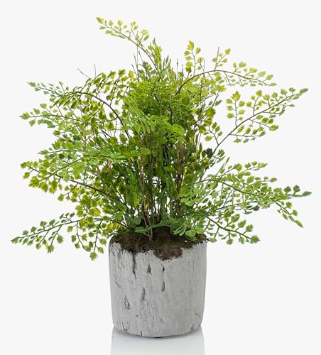 artplants.de Helecho de Adiantum sintético Santina en Maceta de Cemento, Verde, 30cm - Planta Tropical Artificial - Helecho Artificial Realista