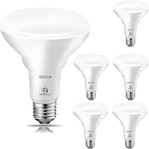 Energetic 6 Pack 65W BR30 LED Recessed Light Bulb, Dimmable, 650 Lumens, 5000K Daylight, E26 Base, Indoor Flood Light for 5/6 Inch Cans