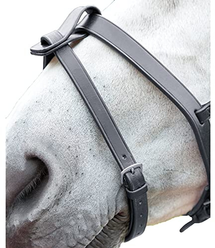 Skjorta Blenheim Flash Strap - Svart Cob