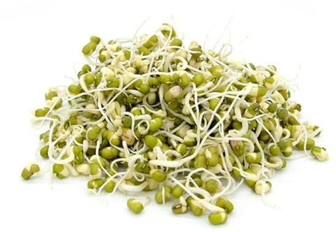 Italian Sprout - Semi per germogli - Fagiolo Mungo Isidoro - 1 kg