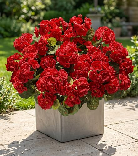 Künstliche Geranien Gefälschte Blumen für Außendekoration, 6 Bündel Seidenkeranien Rote Blume UV-beständiges Aussehen Echte Kunstpflanzen für Haustür Garten Veranda Pflanzgefäß Terrasse Balkon Hof