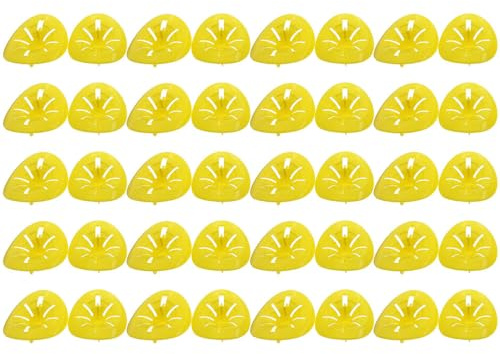 Bienenwespenfalle, wiederverwendbar, tödlicher Trichter, Bienenfänger, fliegende Insekten, Trichter, hängende Insektenfalle, Fliegenfänger für den Innen- und Außenbereich, Bienenbewegung und