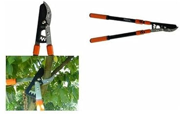 Primus Garten Coupe-Branches Power à engrenage Noir