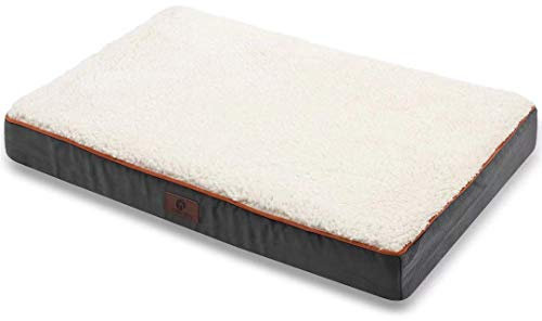 Asvin Memory Foam Plattform Hundebett, 2-lagige orthopädische Memory Foam Hundematte, Fleece-Bezug abnehmbar, waschbar, reißfest, mit wasserdichtem Futter Kistenbett, bis zu 34 kg, (7,6 cm dick)