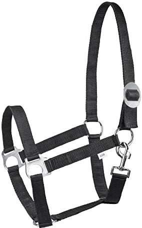 Halfter für Pferde Start Economic Pferdehalfter - Verstellbares Halfter Pferd, Stallhalfter Pony, Vollblut, Warmblut (Schwarz, COB)