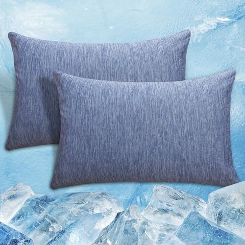 RUMBALUXY Federa per cuscino rinfrescante con cerniera, Arc-Chill Fibra Fredda Q-Max > 0.45 per chi dorme caldo, morbide, traspiranti, delicate sulla pelle, confezione da 2, Blu, 50 x 66 cm