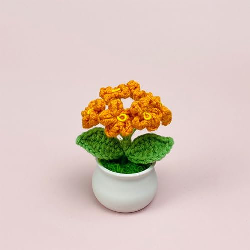 ZHDOKA Handgefertigte Gehäkelte Vergissmeinnicht-Blume Im Topf mit Plastikvase, Künstlicher Künstlicher Blumenstrauß, Gestrickte Vergissmeinnicht-Blumen-Bonsai für Zuhause, Küche,(Gelb)