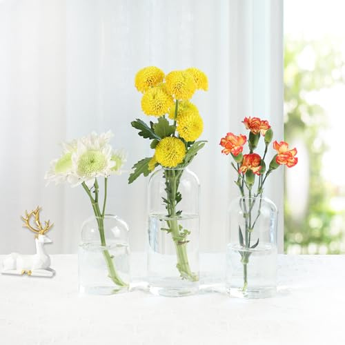 BlogBlog Glaskoppvaser för blommor – små glasvaser för dekoration, storblomvas för vardagsrum matbord bröllopsfest evenemang heminredning blomsterarrangemang (klar, 3 st)