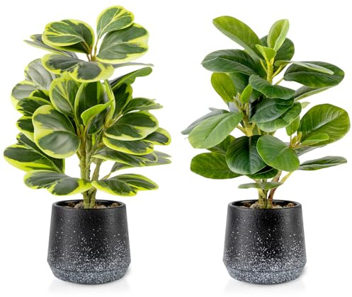 WOHSEROM 2 Pack Realistic Artificial Potted Plants Peperomia Obtusifolia, 11 Small Faux Greenery for Desk, Bathroom, Office, or Home Decor (Evergreen, Maintenance Free)