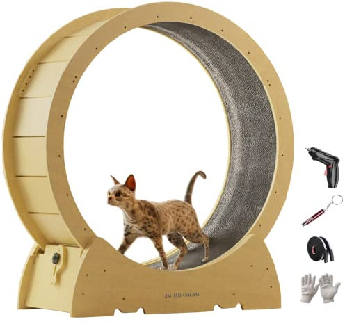 Großes Katzenlaufrad, Katzenlaufband, Katzenlaufrad mit geräuschloser Bewegung, Aktivitätsspielzeug für Katzen, interaktive Katzen, Gewichtskontrolle für Katzen (M, geeignet für 3-5 kg)