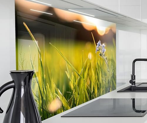 timalo Herd Spritzschutz Wand Spüle, Küche Küchenrückwand Glasoptik | Acryl Glas 2mm | Glasrückwand Acrylglas Küchenpaneele Küchenspiegel | 120x80cm Wiese Natur Blumen