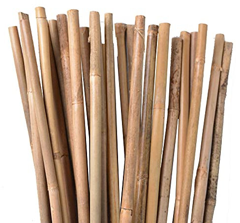 UNUS Bambusstäbe, Pflanzenstäbe zur Stabilisierung von Pflanzen im Garten, Rankstäbe Bambus 120 cm naturfarbend, 50 Stück