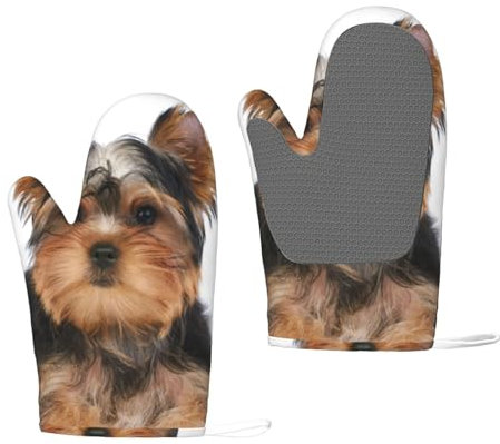 Yorkshire Terrier liegt auf weiß, Silikon-Ofenhandschuhe, rutschfeste Kochhandschuhe, hitzebeständige Backhandschuhe, EIN Paar