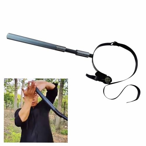 Wing Chun Training Dummy - Martial Arts Wall Mount with 2 Springs, Chinese Kung Fu Trainer for Arm Strength, Suitable for Piling on Tree Pillars and Strength Training