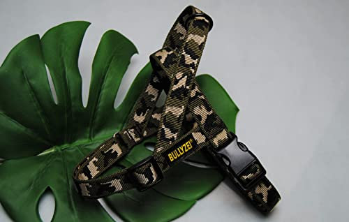 Norwegergeschirr TARN Gr.S-M Französische Bulldogge