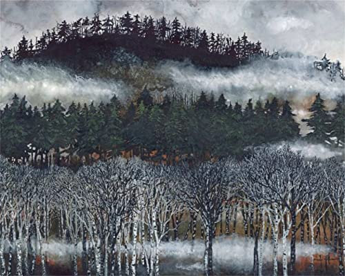 Cekog Malen Nach Zahlen Nebliger Wald DIY Handgemalt Ölgemälde Leinwand Kits für Erwachsene Kinder mit Pinseln Acrylpigment Zeichnung Paint by Numbers für Haus Wand Decor 50x65cm Ohne Rahmen