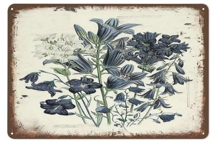 Funny Metal Tin Sign Flower Campanula Persicifolia Metel Signs Retro Garden Tin Signs Farm Fresh Wall Decor Home Kitchen Garden Decor Outdoor Yard Wall Decoration Floral Wall Art Decor 12X8 inch