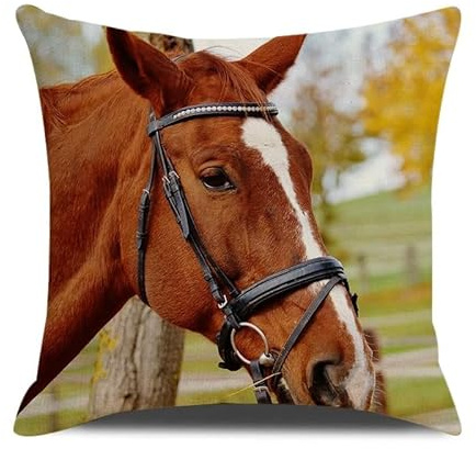 ANSIWEIGO Kit coussin à broder au demi-point de croix avec canevas imprimé, fils en coton et dos zippé 45x45 cm,Animaux Cheval