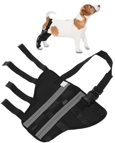 CAPASTEC Hund Rechte Hinterbein Stütze Schwarz 1 Stück Atmungsaktiv SBR | Für Genesung, Stabilität, Beinumfang 22-25cm, Gelenkumfang 13-16cm, Fußöffnung 10-14cm, Beinhöhe 20cm