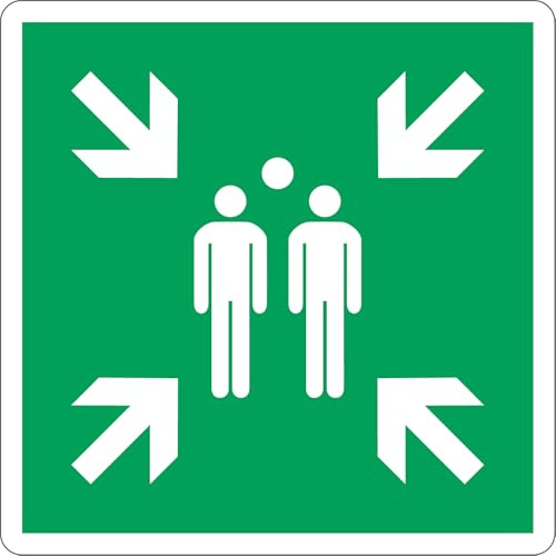 Cartello Punto di Raccolta Evacuazione - ISO 7010 E007 | PVC Luminescente 200x200 mm
