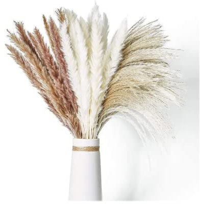 OctBird 70pcs Pampas Grass Decor, Dried Flowers Bouquet, Pampas Grass Artificial, Swingers Grass, Fluffy and Soft Pampas for Home Decor Wedding Boho Decor
