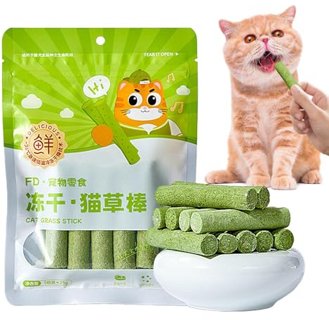 Fyrdyn Katzengras Stick Käfig Bälle | Katzenspielzeug für sanfte Haarballentfernung, Futter Zähne Reinigung Gras Stick für kleine, mittelgroße und große Katzen Besitzer