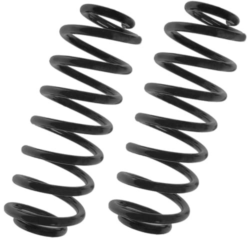 2x Feder Fahrwerksfeder Hinterachse für BMW 5 Touring E39