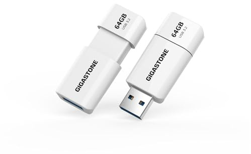 GIGASTONE 64Go Clé USB Flash (Lot de 2) Z60 USB 3.2 Gen 1, 100Mo/s Ultra Rapide, sans Capuchon, Stockage et Sauvegarde pour PC/Mac/TV/Voiture, USB 2.0/3.0/3.1 Compatible