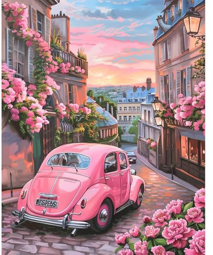 JATOK Malen Nach Zahlen Erwachsene, Paint by Numbers Malen Nach Zahlen, DIY Auto mit Pinseln und Acrylfarben Handgemalt Ölgemälde Leinwand für Home Decor, Ohne Rahmen (40x50cm)