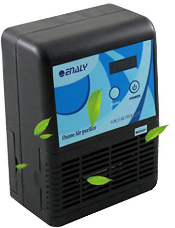 CGOLDENWALL Generador de Ozono para Hogar/Coche Purificador de Aire para Esinfección del Hogar/Automóvil Con Ventilador 200CT-12