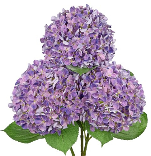 Arborus 3er Künstlich Hortensienzweig 67 cm Künstlicher Stiel mit Blättern | Künstliche Blumen Violett Kunstblumen zum Baslteln Dekoblumen für Vase Blumenarrangement Hochzeit Sommer Winter Alltag Deko