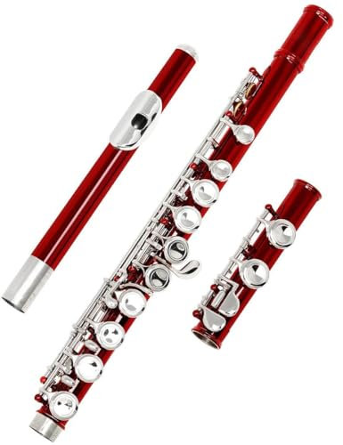 flöte 16 Geschlossene Offene Löcher C-Taste Professionelles Querflöten-Musikinstrument Mit Box Bunte Stockhandschuhe (Color : Red)
