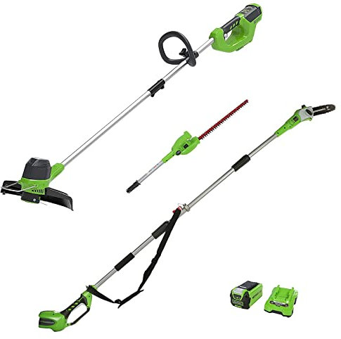 Greenworks Coupe-bordures à batterie G40LT et Scie à perche à batterie & Taille-haies télescopique 2-1 G40PSH (Li-Ion 40 V 30cm largeur de coupe 7000U/min avec batterie 2Ah et chargeur)