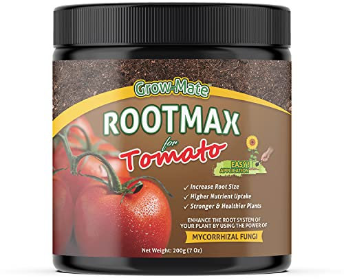 RootMax Tomatendünger mit Mykorrhiza Kraftvolles Bewurzelungspulver für Tomaten & Gemüse - Verbesserte Formel für gesündere Wurzeln & maximalen Ertrag - Behandelt bis zu 40 Pflanzen (200 g/7 oz)