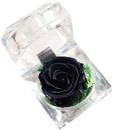 Gadpiparty Rosa conservata in una scatola, regalo di rose eterne, in cupola di vetro, con fiocco, rosa conservata, per anniversario, compleanno, San Valentino, bomboniere (nero)