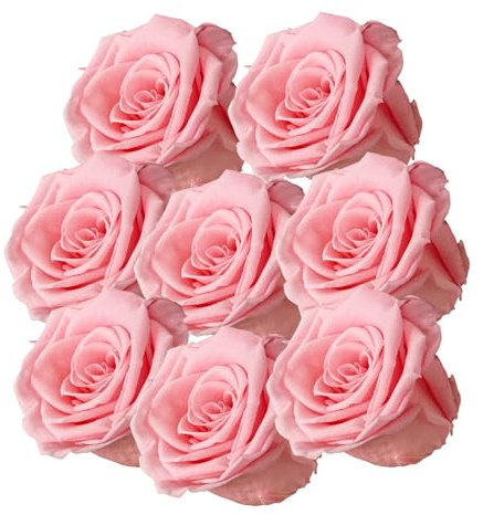 your castle Infinity Rosen | Ewige Rose | 8 Stück gefriergetrocknete Rosen in Rosa | Konservierte echte Blumen, die nie verwelken | Deko | Tischdeko