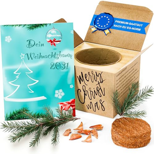 HAVENHAUS Dein Weihnachtsbaum 2031 Geschenkset | Weihnachtsbaum Anzuchtset | Weihnachtsbaum zum selber pflanzen im schönen Holzwürfel | Wichtelgeschenk | Adventskalender Ideen zum befüllen
